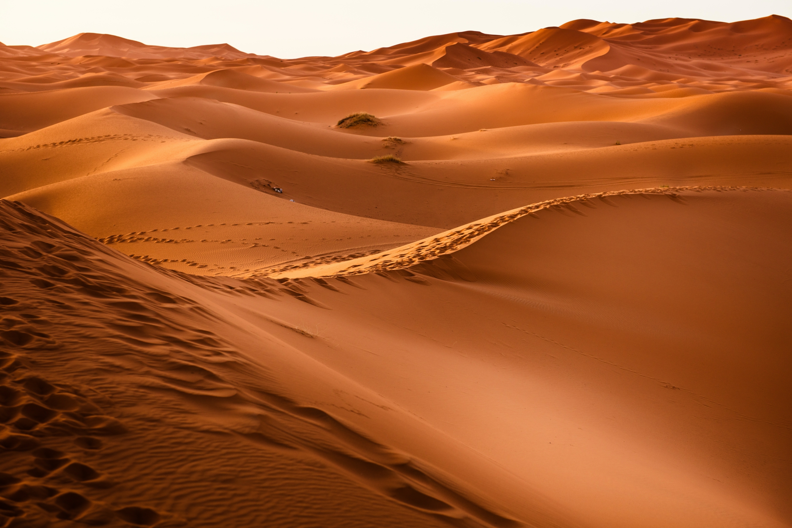 Hugo Boss: Desert fashion show in Saudi Arabia - mirrored concert hall hugo-boss-desert-sand-dunes-sand-sky