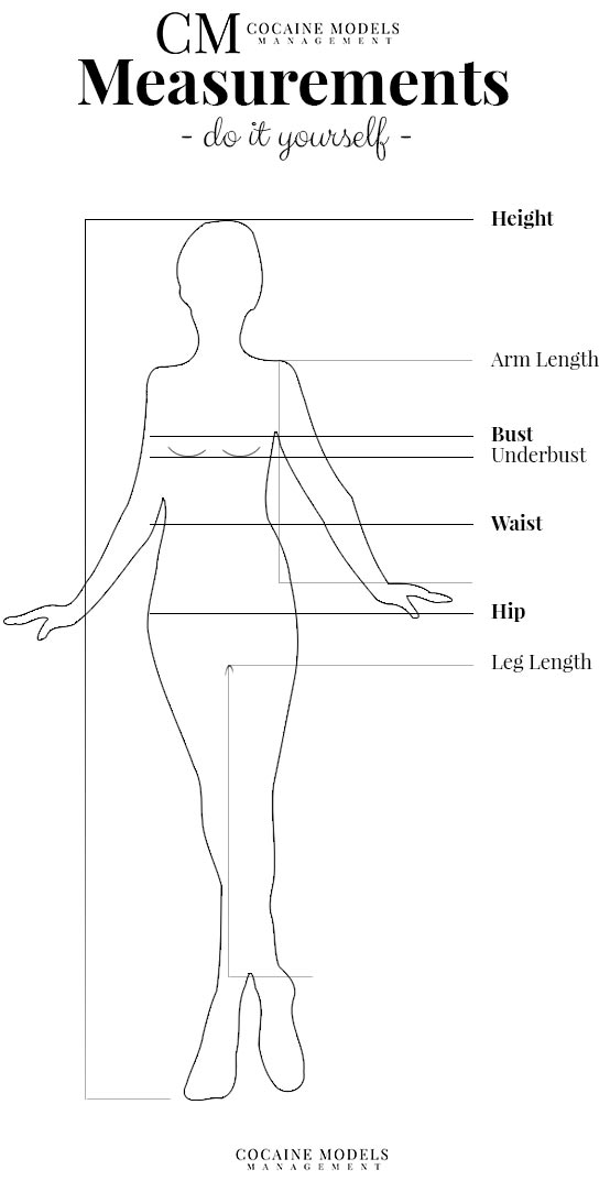 Model: Take Measurements